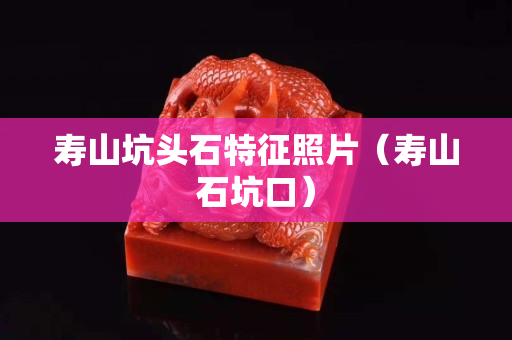 壽山坑頭石特征照片（壽山石坑口）