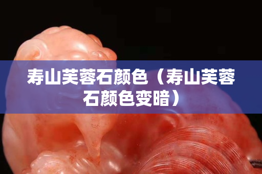 壽山芙蓉石顏色（壽山芙蓉石顏色變暗）