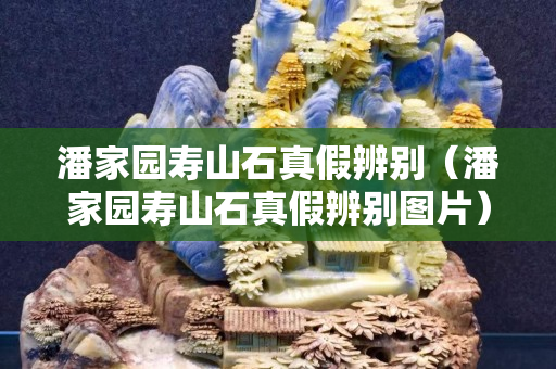 潘家園壽山石真假辨別（潘家園壽山石真假辨別圖片）