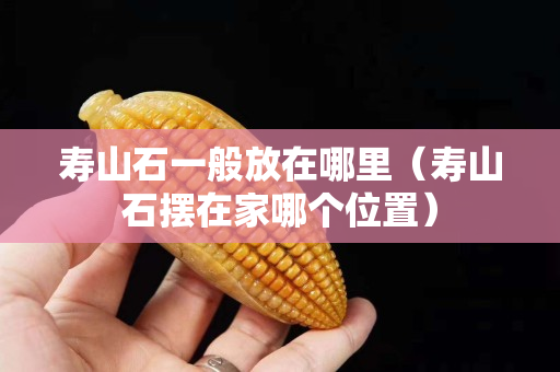 壽山石一般放在哪里（壽山石擺在家哪個位置）