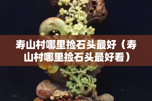 壽山村哪里撿石頭最好（壽山村哪里撿石頭最好看）