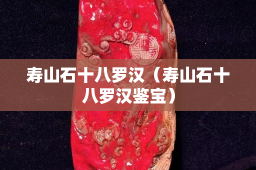 壽山石十八羅漢（壽山石十八羅漢鑒寶）