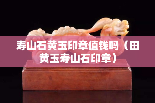 壽山石黃玉印章值錢嗎（田黃玉壽山石印章）