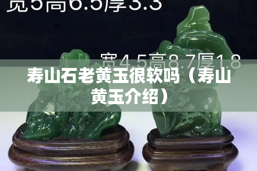 壽山石老黃玉很軟嗎（壽山黃玉介紹）