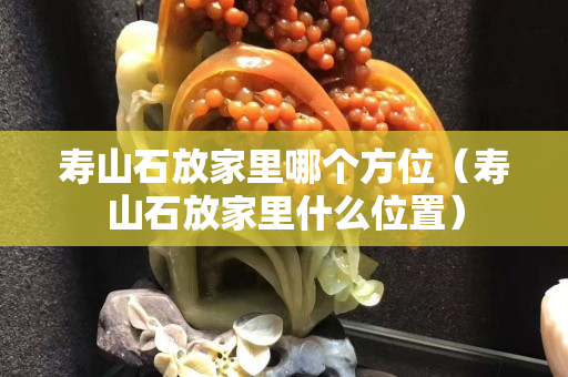 壽山石放家里哪個方位（壽山石放家里什么位置）