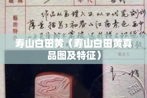 壽山白田黃（壽山白田黃真品圖及特征）