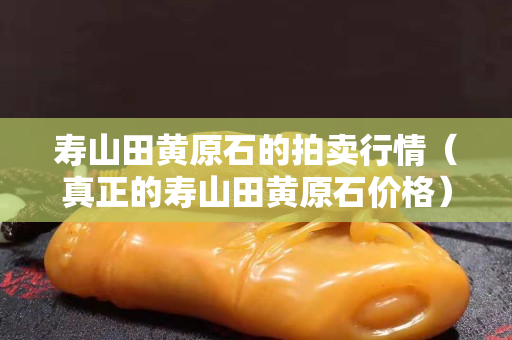 壽山田黃原石的拍賣行情（真正的壽山田黃原石價格）