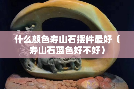 什么顏色壽山石擺件最好（壽山石藍色好不好）