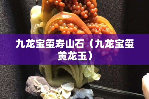 九龍寶璽壽山石（九龍寶璽黃龍玉）