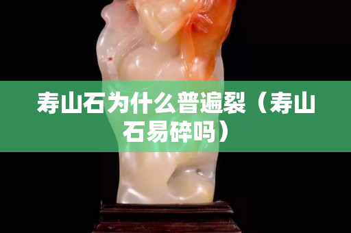 壽山石為什么普遍裂（壽山石易碎嗎）