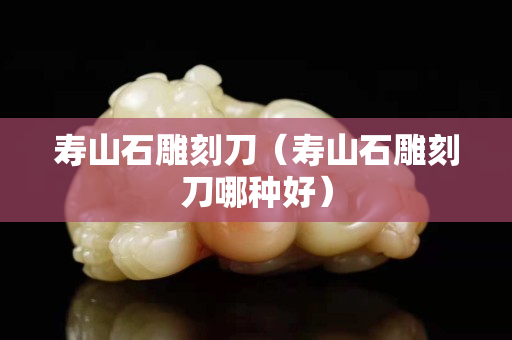 壽山石雕刻刀（壽山石雕刻刀哪種好）