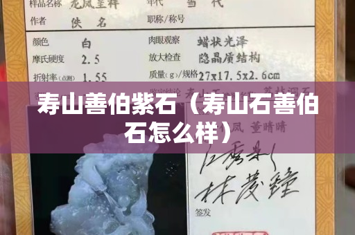 壽山善伯紫石（壽山石善伯石怎么樣）