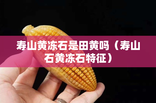 壽山黃凍石是田黃嗎（壽山石黃凍石特征）