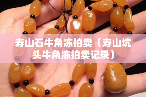 壽山石牛角凍拍賣（壽山坑頭牛角凍拍賣記錄）