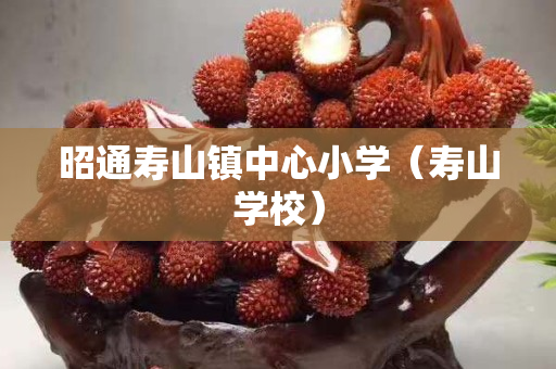 昭通壽山鎮中心小學（壽山學校）
