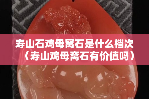 壽山石雞母窩石是什么檔次（壽山雞母窩石有價值嗎）