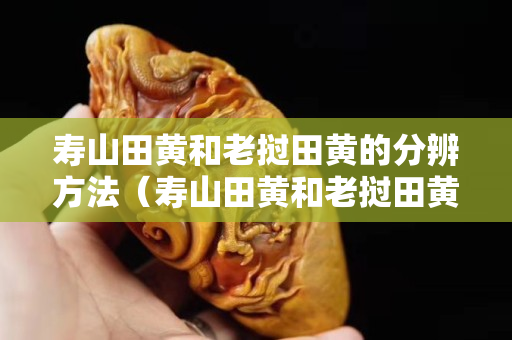 壽山田黃和老撾田黃的分辨方法（壽山田黃和老撾田黃的分辨方法一樣嗎）