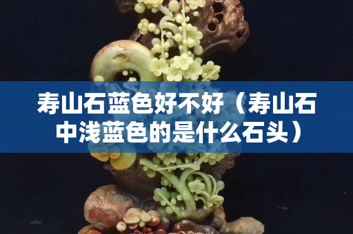 壽山石藍色好不好（壽山石中淺藍色的是什么石頭）