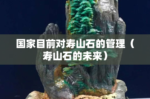 國家目前對壽山石的管理（壽山石的未來）