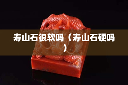 壽山石很軟嗎（壽山石硬嗎）