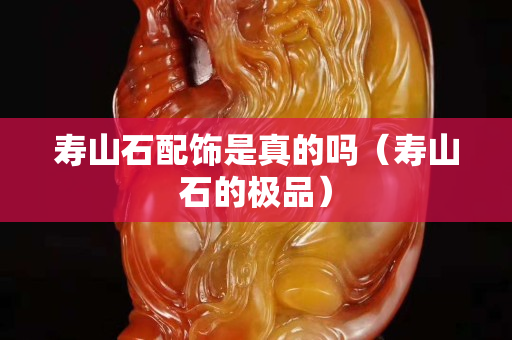 壽山石配飾是真的嗎（壽山石的極品）