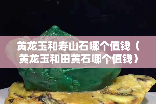黃龍玉和壽山石哪個值錢（黃龍玉和田黃石哪個值錢）