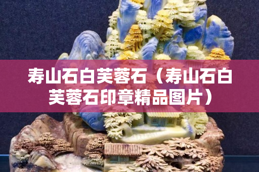 壽山石白芙蓉石（壽山石白芙蓉石印章精品圖片）