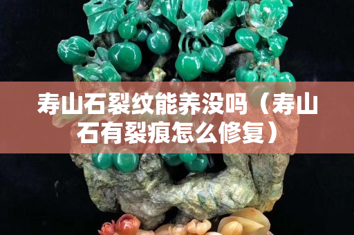 壽山石裂紋能養沒嗎（壽山石有裂痕怎么修復）