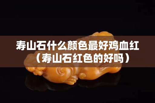 壽山石什么顏色最好雞血紅（壽山石紅色的好嗎）