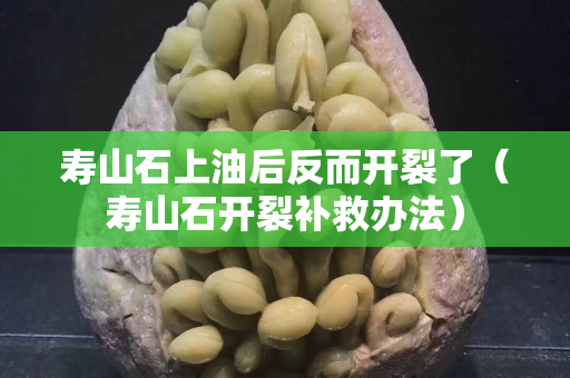 壽山石上油后反而開裂了（壽山石開裂補救辦法）