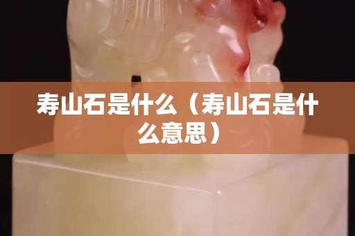 壽山石是什么（壽山石是什么意思）