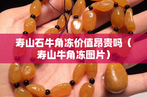 壽山石牛角凍價值昂貴嗎（壽山牛角凍圖片）