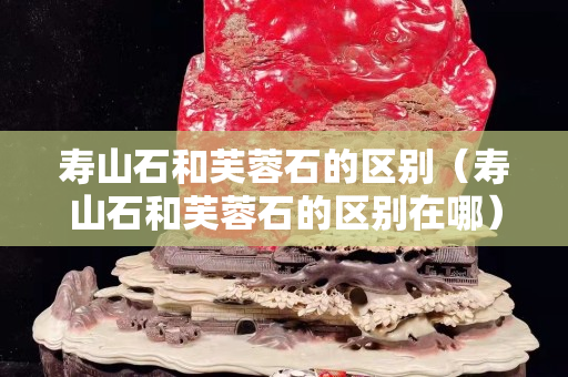 壽山石和芙蓉石的區(qū)別（壽山石和芙蓉石的區(qū)別在哪）