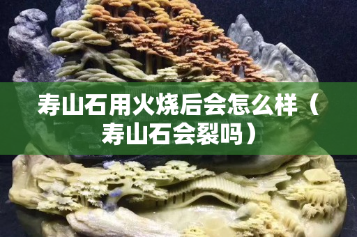 壽山石用火燒后會怎么樣（壽山石會裂嗎）