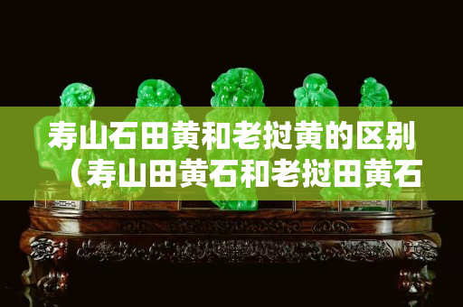壽山石田黃和老撾黃的區(qū)別（壽山田黃石和老撾田黃石的區(qū)別）