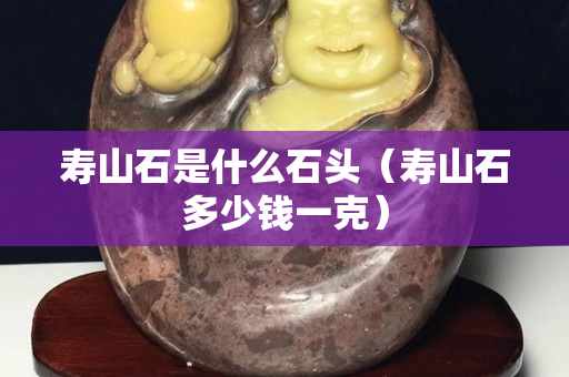 壽山石是什么石頭（壽山石多少錢一克）