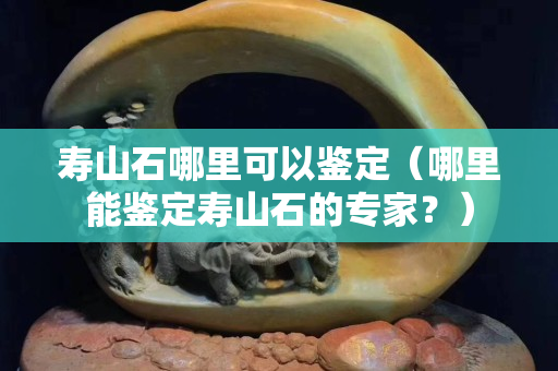 壽山石哪里可以鑒定（哪里能鑒定壽山石的專家？）