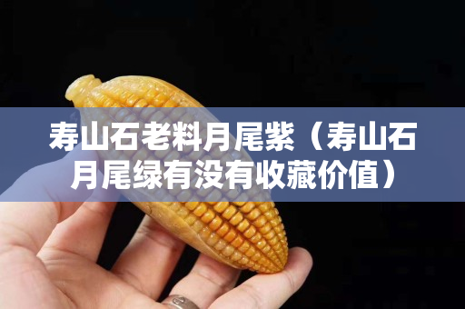 壽山石老料月尾紫（壽山石月尾綠有沒(méi)有收藏價(jià)值）