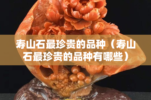 壽山石最珍貴的品種（壽山石最珍貴的品種有哪些）