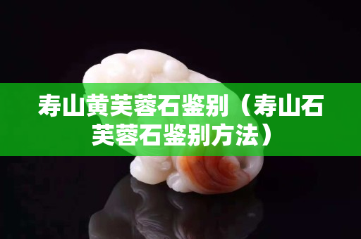壽山黃芙蓉石鑒別（壽山石芙蓉石鑒別方法）