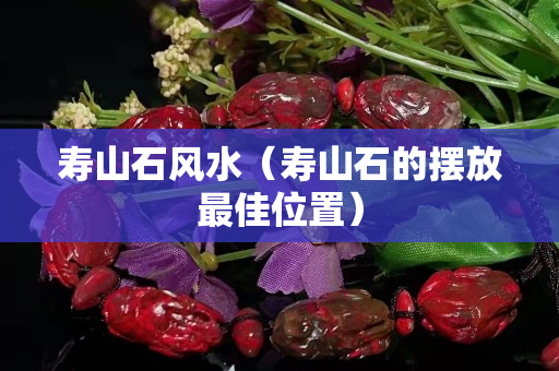 壽山石風(fēng)水（壽山石的擺放最佳位置）