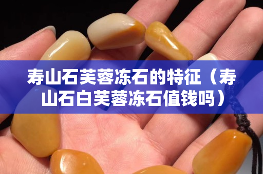 壽山石芙蓉凍石的特征（壽山石白芙蓉凍石值錢嗎）