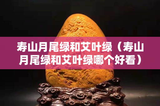 壽山月尾綠和艾葉綠（壽山月尾綠和艾葉綠哪個好看）