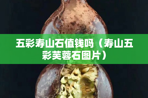 五彩壽山石值錢嗎（壽山五彩芙蓉石圖片）