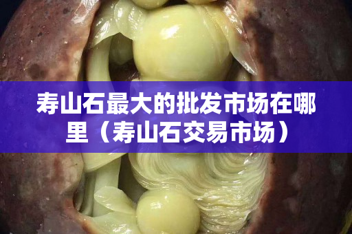 壽山石最大的批發市場在哪里（壽山石交易市場）