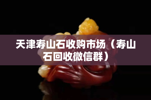 天津壽山石收購市場（壽山石回收微信群）