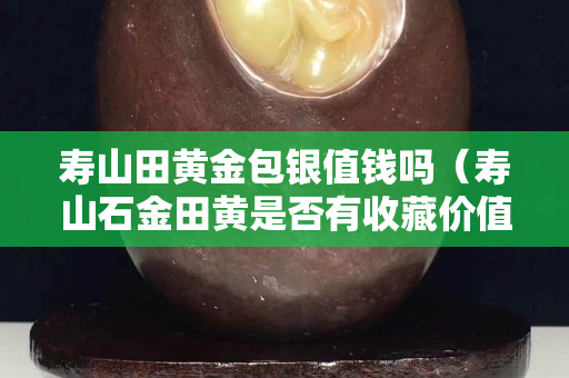 壽山田黃金包銀值錢(qián)嗎（壽山石金田黃是否有收藏價(jià)值）