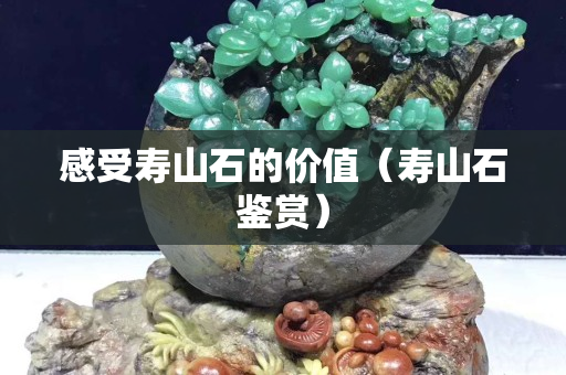 感受壽山石的價值（壽山石鑒賞）