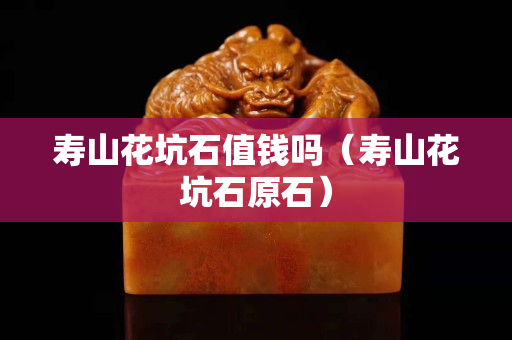 壽山花坑石值錢嗎（壽山花坑石原石）