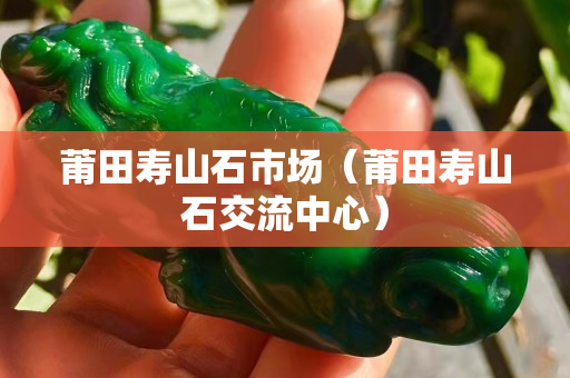 莆田壽山石市場（莆田壽山石交流中心）